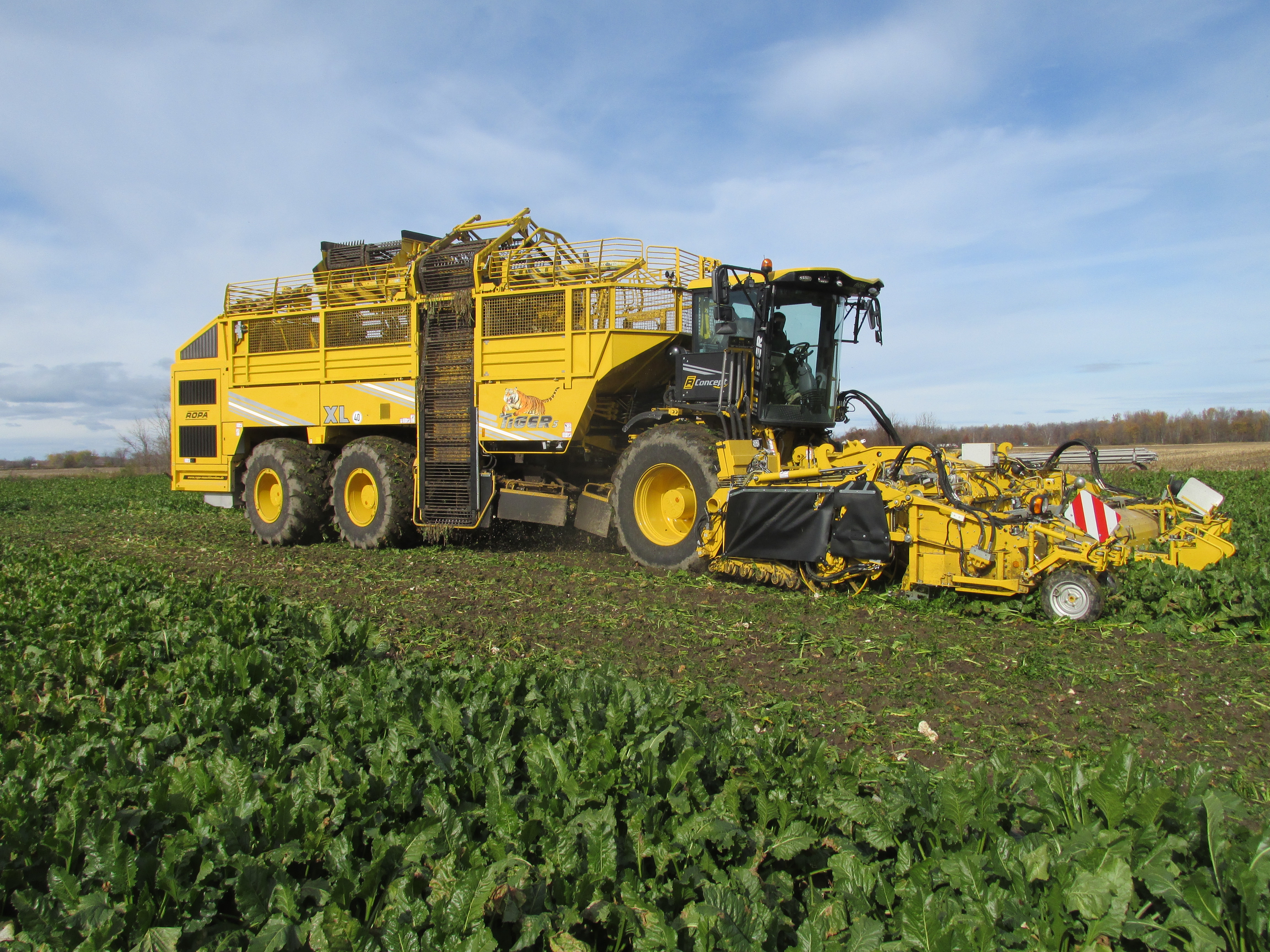 Harvest Equipment Buyers' Guide | Sugar Producer Magazine